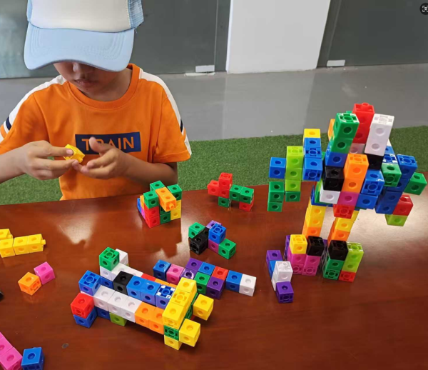 Interlocking Building Blocks - Image 3