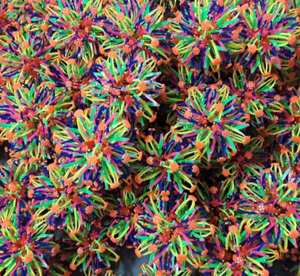 Novelty Expandable Ball Open and Close Plastic Ball Like a Flower - Image 6